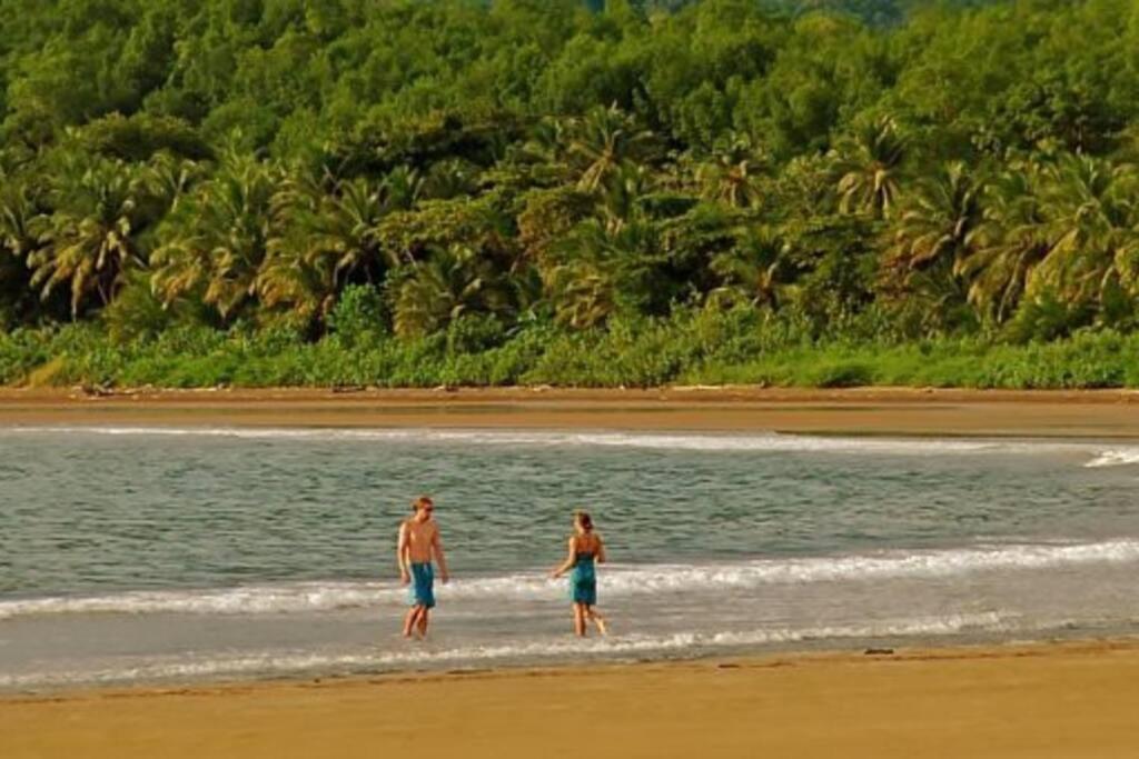 Bungalows Baobab San Isidro De El General ภายนอก รูปภาพ